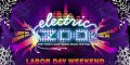 Electric Zoo Festival - Flyer