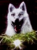 N#:104001 - Logo White Wolf